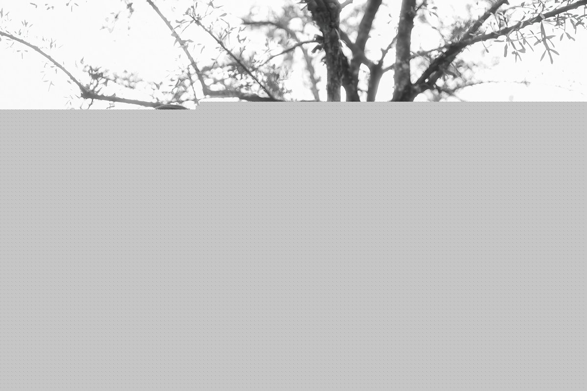 亚洲日韩精品一区二区三区无码 - BD国语免费观看视频