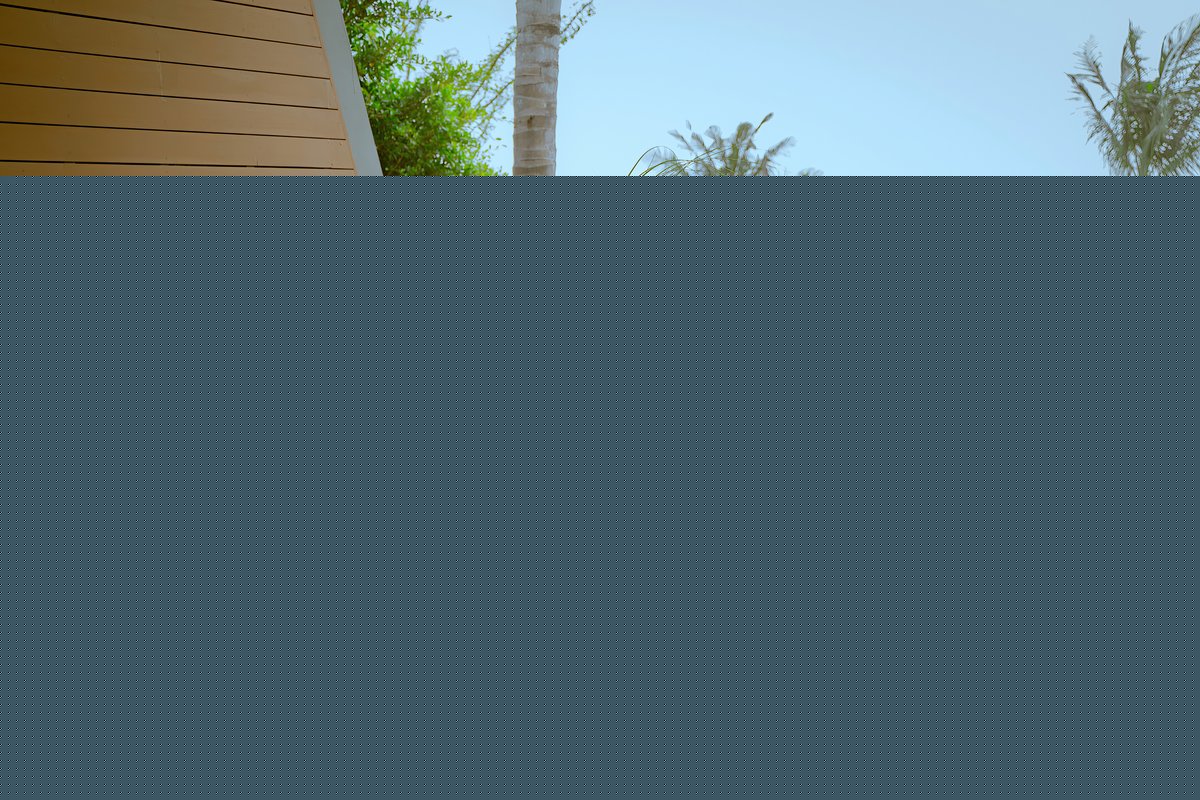 91嫩草国产婷婷二区三区